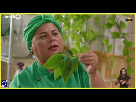 Tv Educatíva Xodó de Cozinha Ervas Marcelo Olanjiminá Tv Brasil EBC com Libras Parte 01