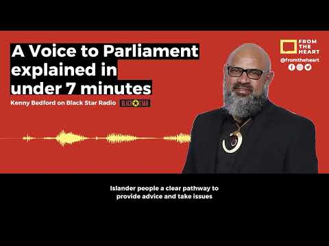 What is a Voice to Parliament?