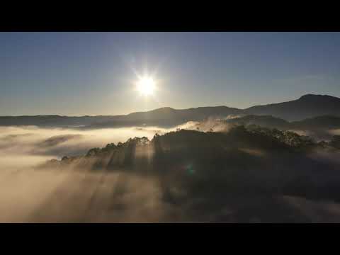 Ooyy, Bjurman - Hiccups (2020s Pop)