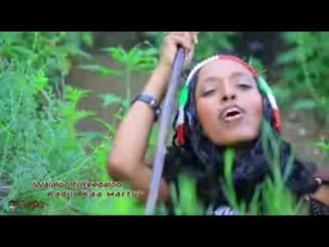 Kadir Martu ft  Saliha Sami   As koottu   NEW  2015 Oromo Music low