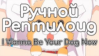 Ручной Рептилоид – I Wanna Be Your Dog Now (кавёр)
