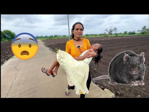 माऊलीची मैत्रिण उंदीर चावल्याने बेशुद्ध पडली 🫢