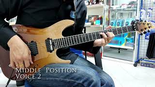 Video thumbnail for Schecter C1 FR S SLS Elite - Antique Fade Burst | Sound Review | Part 1 by Steve Paul