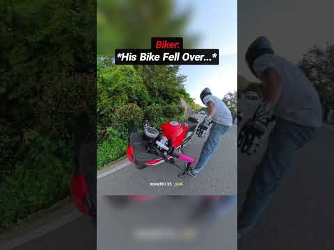 Biker's Cat Jumped Off the Bike Then This Happened 😳