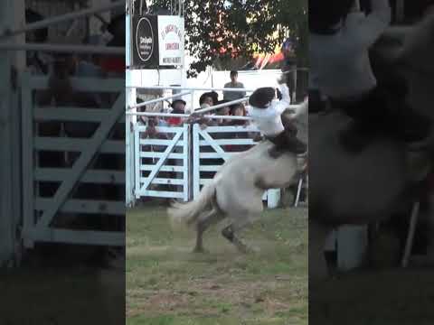 Monta especial de Juan Cruz Córdoba en el Crispín Velázquez en Entre Rios