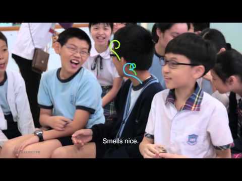 [1001 Chinese Objects] Tea Workshop