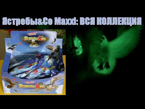 Ястребы&Co Maxxi: ВСЯ КОЛЛЕКЦИЯ/целая коробка! Как они светятся?