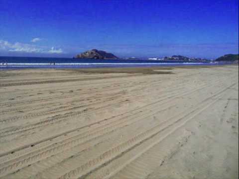 ABRAHAM HICKS Pets As Teachers