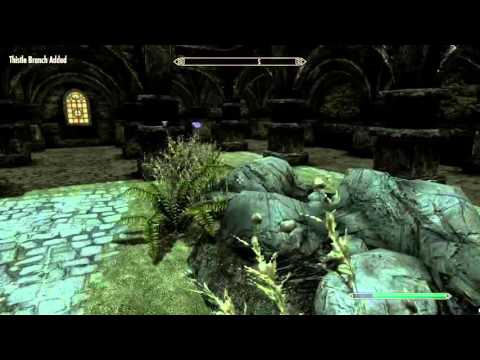 Where to find Thistle Branch - Skyrim