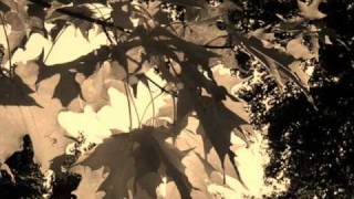 All The Things You Are - Kenny Werner Trio