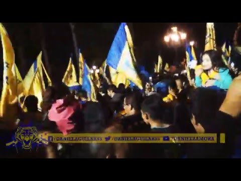 "Ecos del campeonato Tigres Apertura 2015 Macroplaza" Barra: Libres y Lokos &bull; Club: Tigres