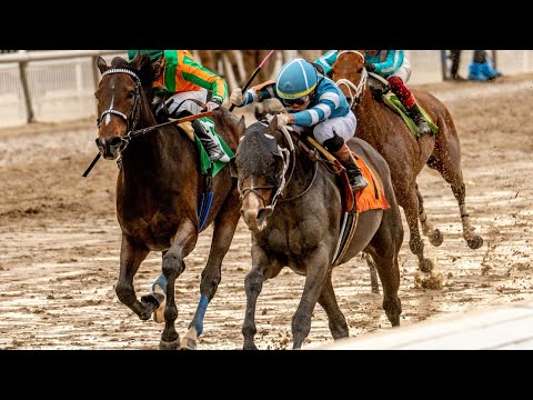 2025 Colonel E. R. Bradley Full Race Replay - Jan. 18 - Gigante