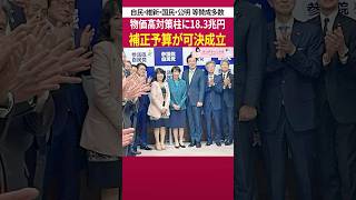 補正予算が可決成立［ 政治 片山さつき 財務省 ］