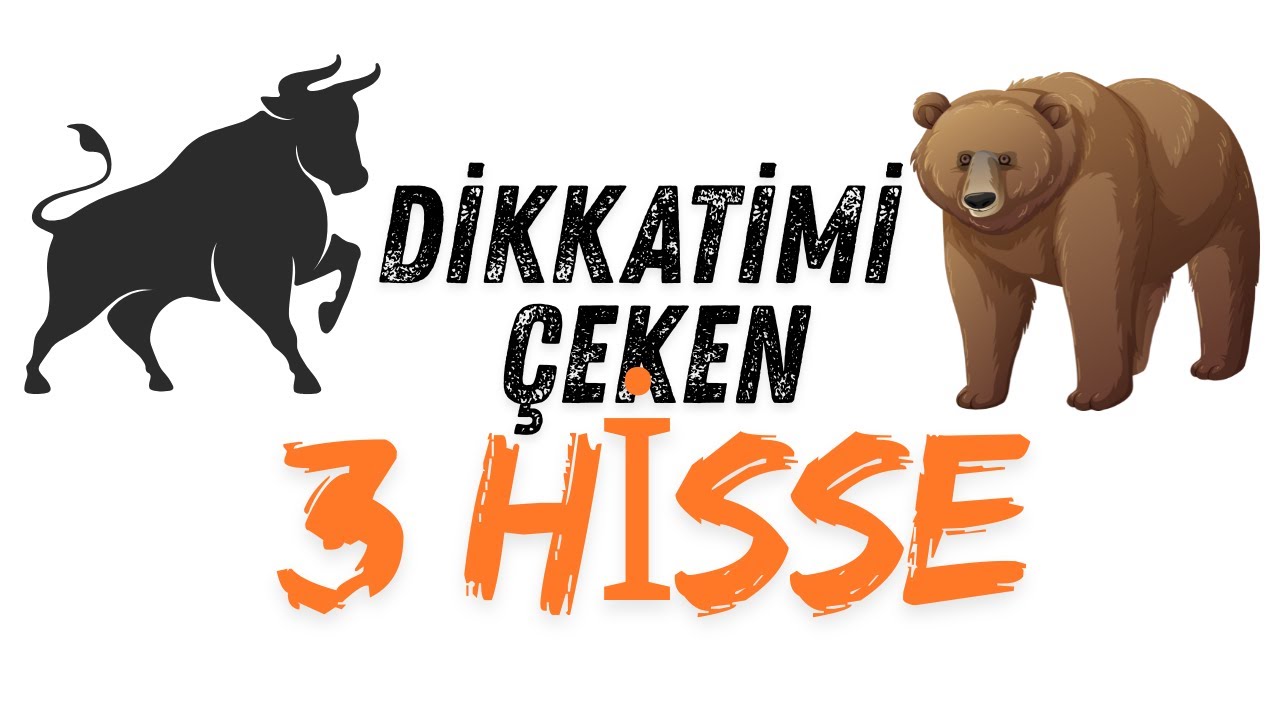 Dibini Gören 3 Hisse Ayı ve Boğa Piyasası Nedir? Ne Kadar Sürer Ne Zaman Almalı ya da Satmalı