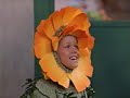 All Week Of Barney S Good Day Good Night Screener All Week Version Part 117