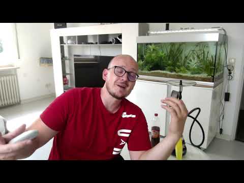 Sama Infinity   Love Me Maracuja Mango in Amy Deluxe mit Kaloud Lotus 1+ im Frigate Caliber Phunnel