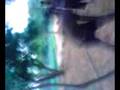 Manas Hot