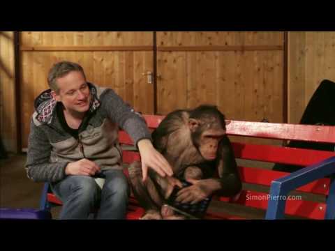 Magier veräppelt Schimpansen mit Zaubertricks