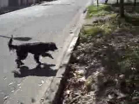 SEMPRE AO MEU LADO . . . NAJLA