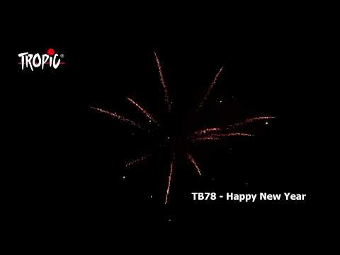 TB78   Happy New Year F3