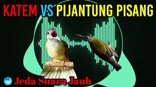 Download lagu katem vs pijantung mp3 Download lagu katem vs pijantung mp3