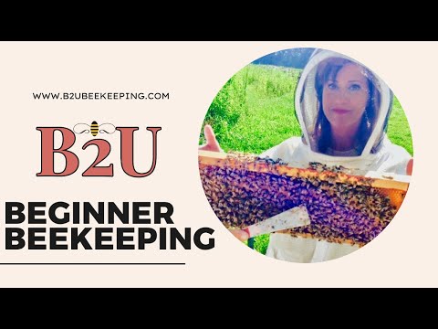 b2u beginner beekeeping