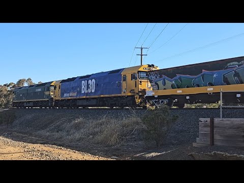 7730V PN up empty grain (G520, BL30), Murtoa to Speed, 1840, 30/1/25, Stawell East VIC