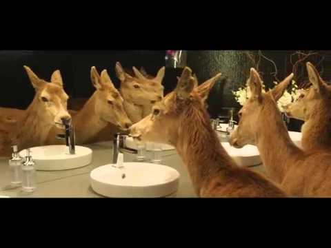 Tooheys Extra Dry - "Nocturnal Migration"