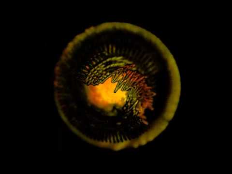 Lucio Aquilina &  Gabriele Del Prete - Middle Age (Original Mix)