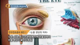 [기획취재] 안구건조증의 치료와 예방