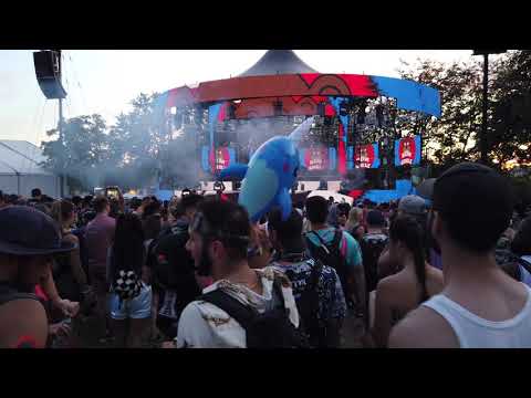 Bear Grillz | Electric Zoo 2019 | 4K