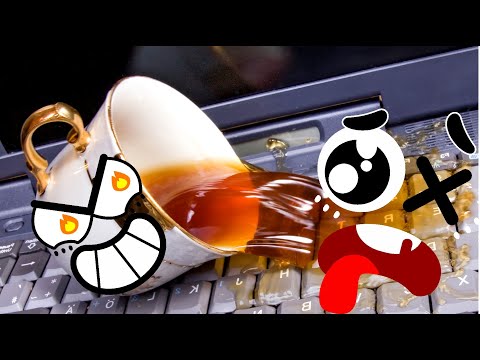 EVIL FRUITS AND KIND THINGS WANT TO FIND THE TRUTH - 24/7 DOODLES