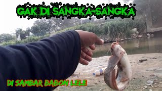 Download lagu Umpan ampuh mancing lele air keruh mp3