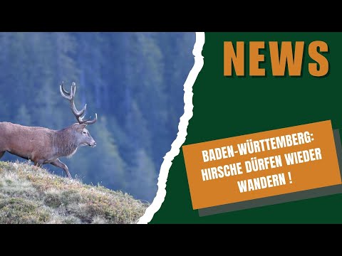 DJZ News February 4, 2026 – This week's hunting news 🦌🎯