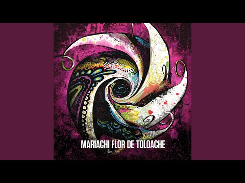 Let Down - Flor de Toloache