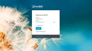 An Introduction to NetEDI's NeTIX Starter Solution