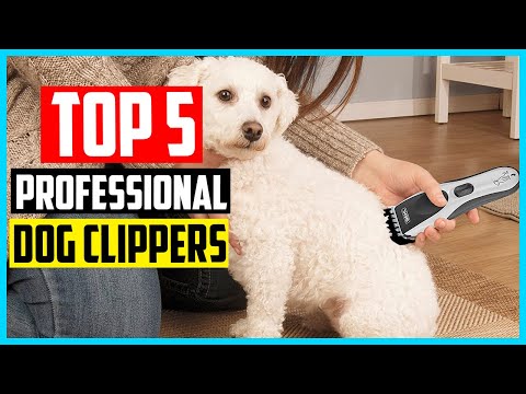 Top 5 Best Professional Dog Clippers | Dog Grooming...