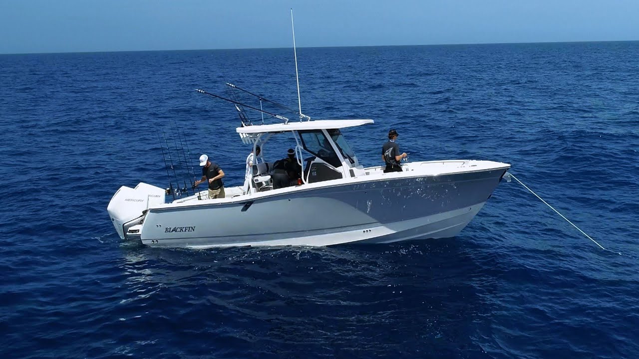 The all new Blackfin 302CC preview