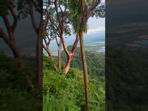 El Mirador del rancho en Choloma, Cortes  un mirador lleno de naturaleza  😍 🇭🇳#mirador #choloma #hn