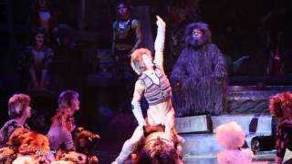 Skimbleshanks The Railway Cat