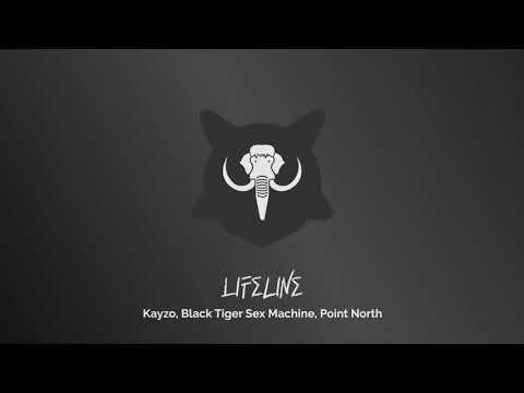 Kayzo, Black Tiger Sex Machine, Point North   Lifeline