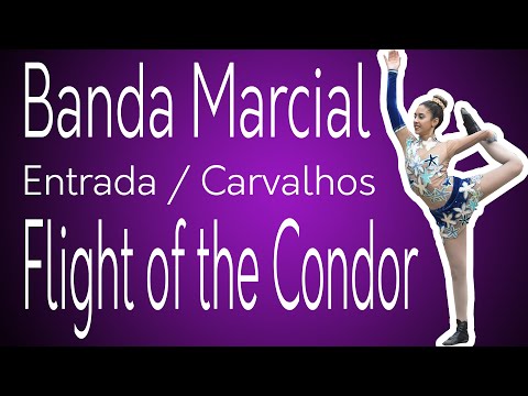 Banda Marcial Barra Mansa | Flight of the Condor