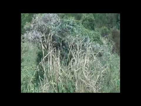 Тайный Меридиан // Secret Meridian. Expeditions with the geographer www.exotravel.ru