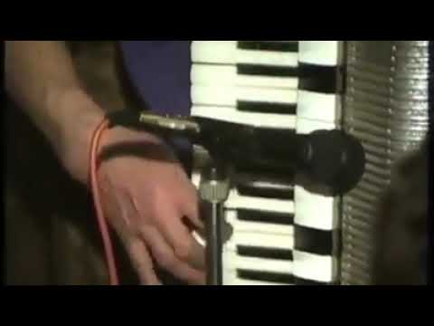 14. Branko Olar  - Hora la acordeon