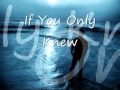 If You Only Knew by Shinedown (lyrics)