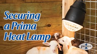 How To Secure a Prima Heat Lamp