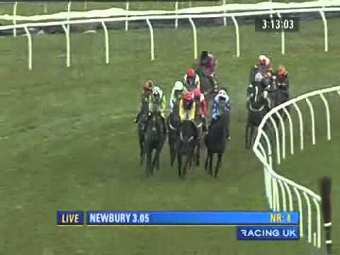 Hennessey Gold Cup Chase 2010