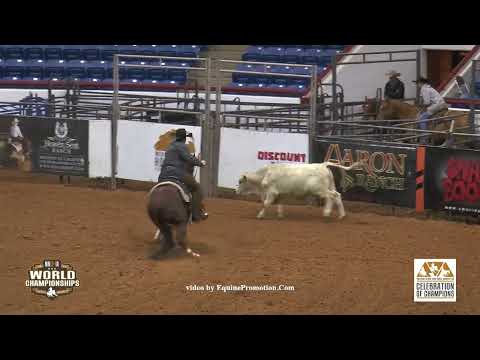 Maximum Echo - 2015 NRCHA Open Bridle Champion