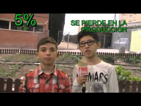 AYÚDANOS A PARAR ESTA LOCURA!