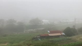 【車窓動画】サンライズ出雲号が朝靄の伯備線を行く（ノビノビ座席）